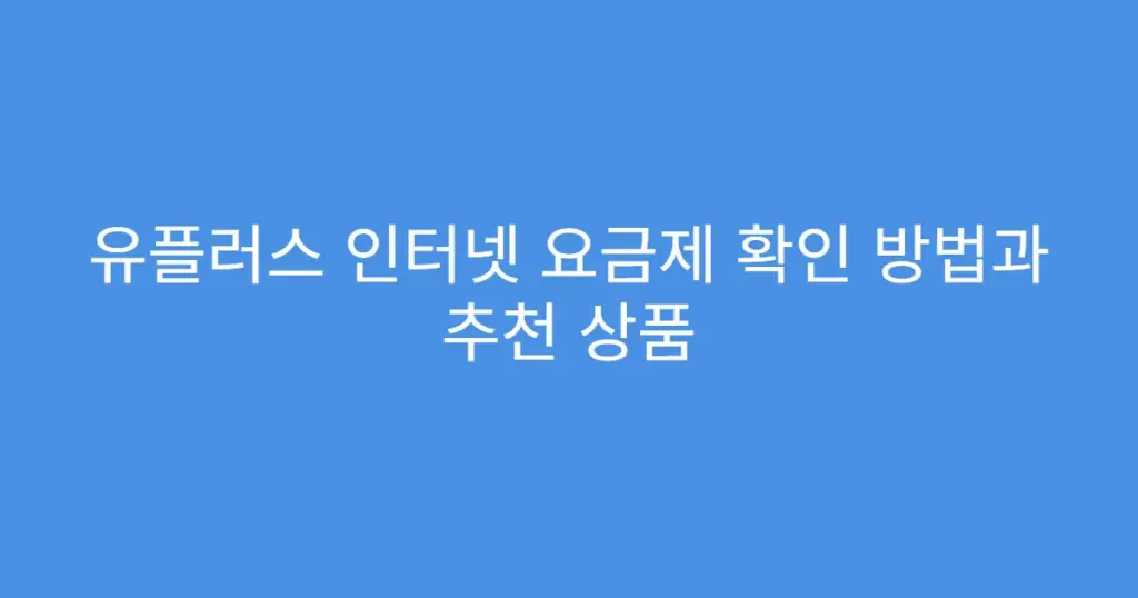 유플러스 인터넷 요금제 확인 방법과 추천 상품